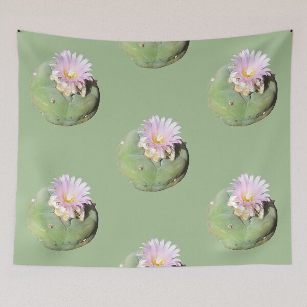 Item preview, Cacti Lophophora "Peyote" Williamsii nr 3 designed and sold by Fruitsome.