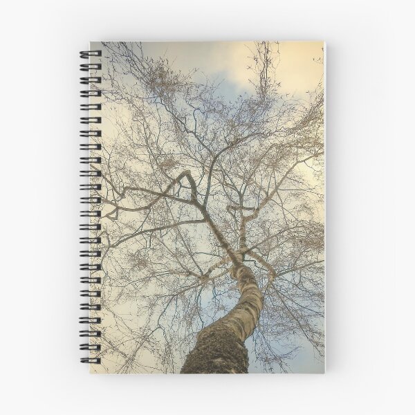 Item preview, Beautiful tree branches situated against a stunning  colorful sky designed and sold by Anita van Gendt.