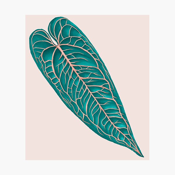 Item preview, Anthurium Warocqueanum Leaf designed and sold by Khotekmei.