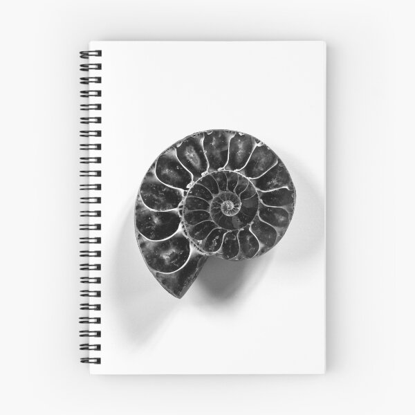 Item preview, Ammonite Fossil Fibonacci Spiral - Black and White Minimalism designed and sold by Dan Shachar.