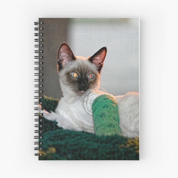 Item preview, Kitten in a Cast designed and sold by Barbara D Richards.
