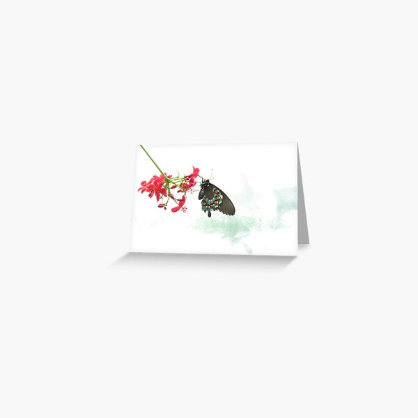 Item preview, Pipevine swallowtail butterfly designed and sold by UpTowardTheSky.