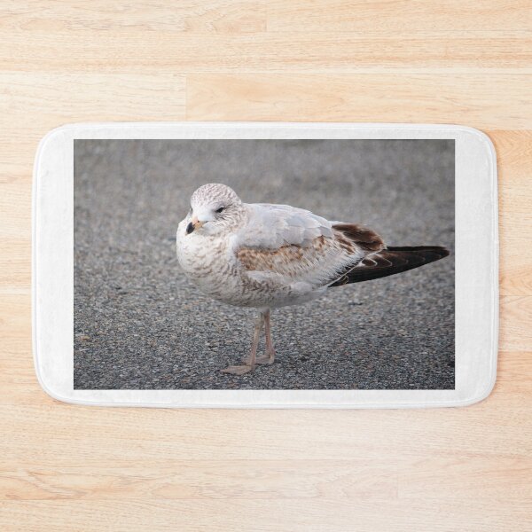 Item preview, Ring Billed Gull designed and sold by Cynthia48.
