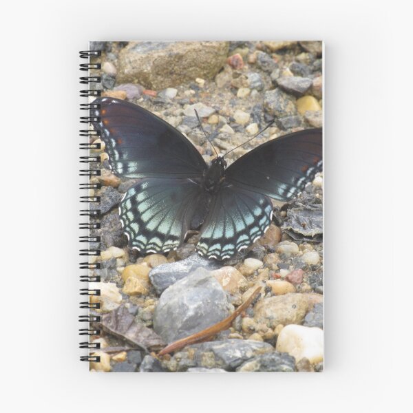 Item preview, Red-spotted purple butterfly, Washington, DC designed and sold by UpTowardTheSky.