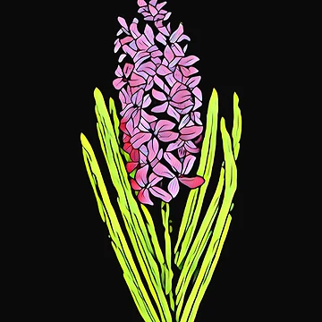 Artwork thumbnail, Hyacinth Two by DesignsofNote