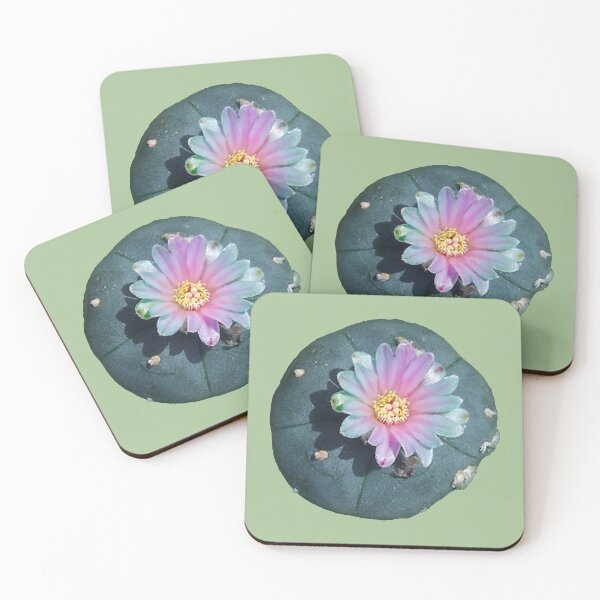 Item preview, Lophophora "Peyote Cacti Entheogen" Williamsii nr 3 designed and sold by Fruitsome.