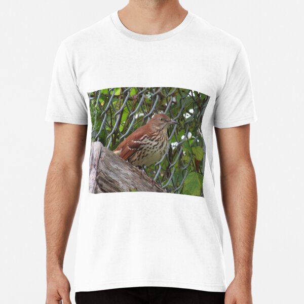 Brown Thrasher T Shirts for Sale Redbubble