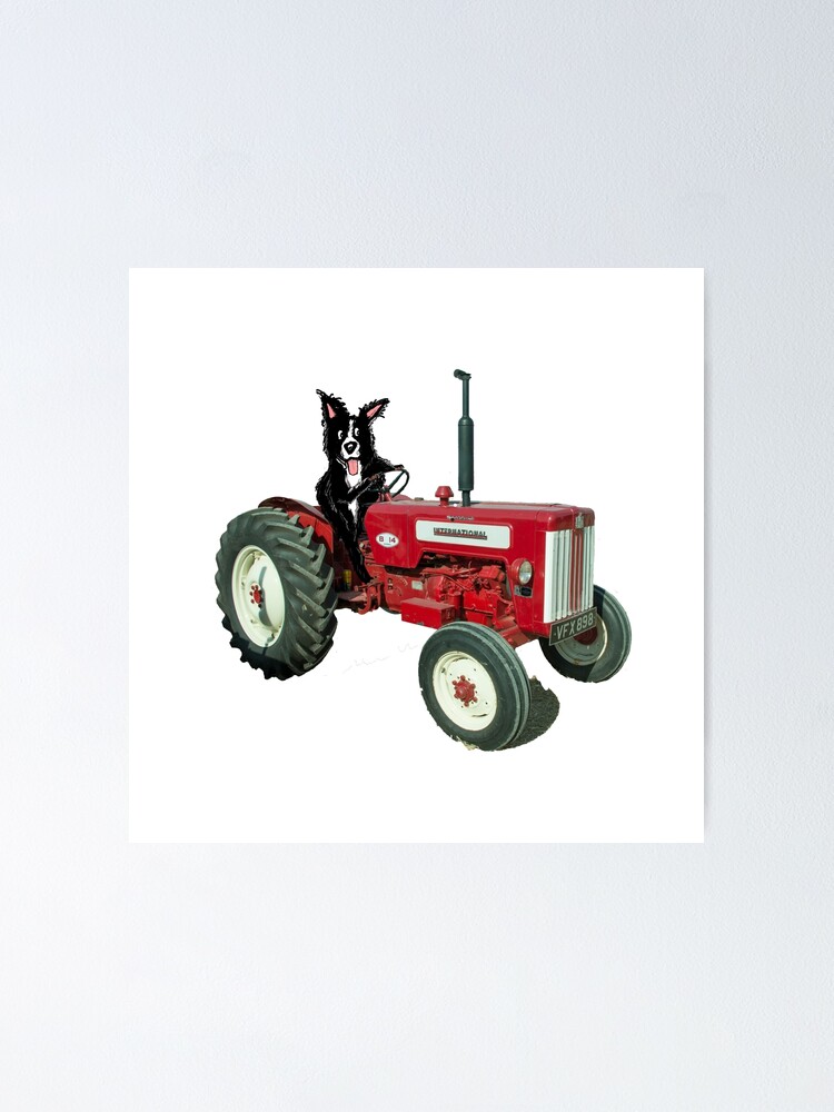 tractor supply sheepdog