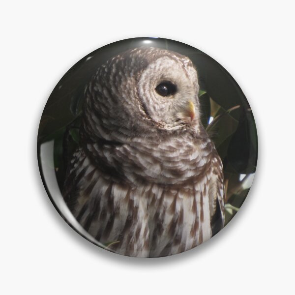 Item preview, Barred owl (Strix varia), Washington, DC designed and sold by UpTowardTheSky.