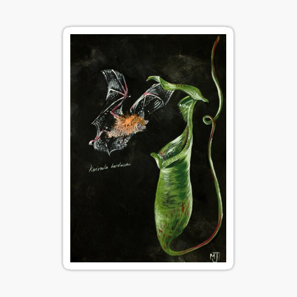 Item preview, Woolly Bat Design designed and sold by Maisy Inston.
