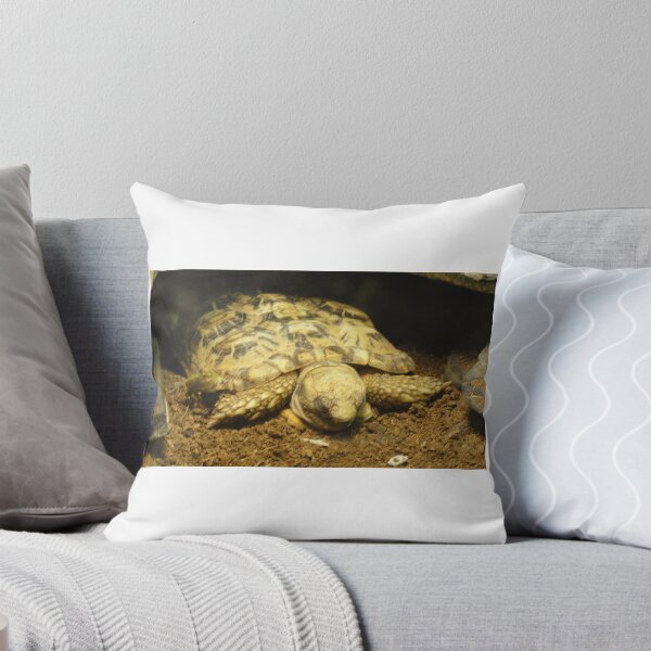 Item preview, Long Day For Turtle designed and sold by LovesAnimals.