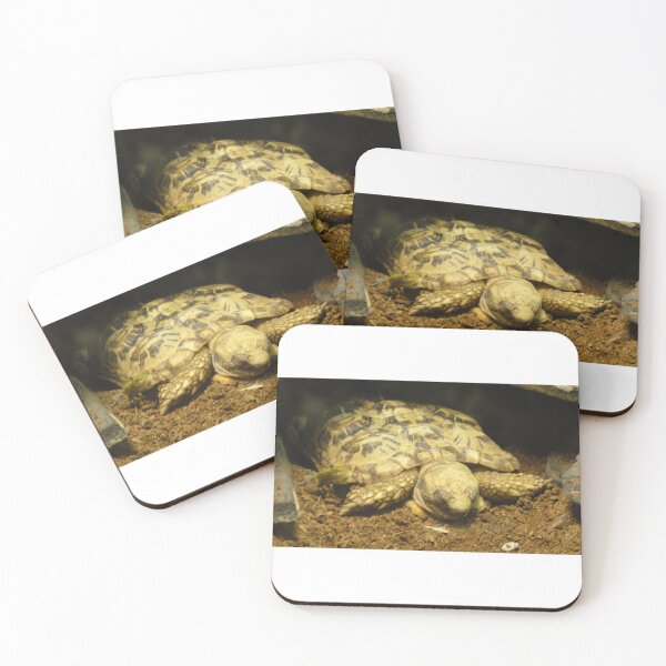 Item preview, Long Day For Turtle designed and sold by LovesAnimals.