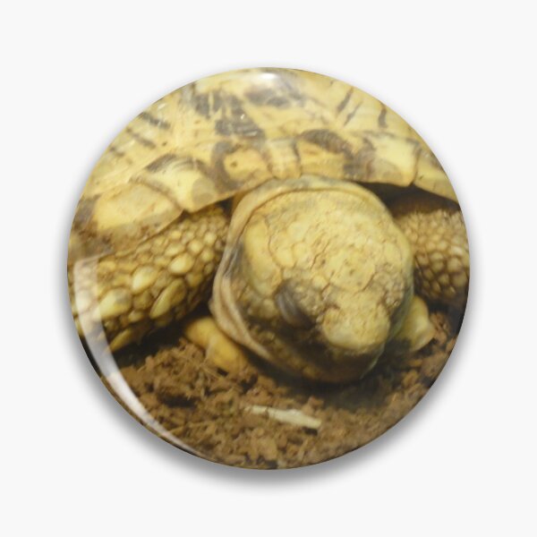 Item preview, Long Day For Turtle designed and sold by LovesAnimals.