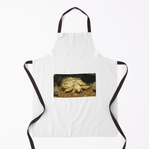 Item preview, Long Day For Turtle designed and sold by LovesAnimals.