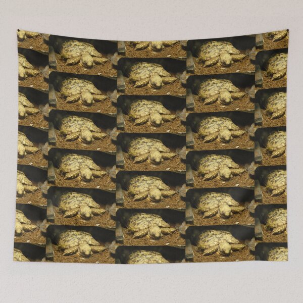 Item preview, Long Day For Turtle designed and sold by LovesAnimals.