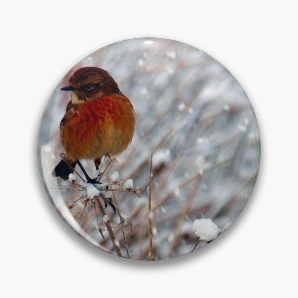 Item preview, Irish Robin designed and sold by Johanna O Malley.