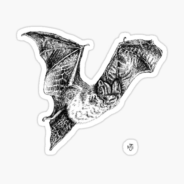 Item preview, Conception de Barbastelle designed and sold by Maisy Inston.
