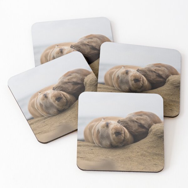 Item preview, Sea Lion Couple Cuddling in La Jolla designed and sold by DHillsPhoto.
