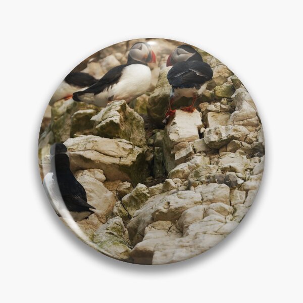 Item preview, SUMMER HOME designed and sold by andrewsaxton.