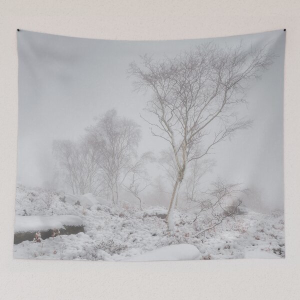 Item preview, Snowy Silver Birch in the Peak District designed and sold by Lenscraft by Robin Whalley.
