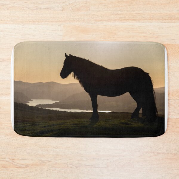 Item preview, Lake District - Fell Pony on Askham Fell designed and sold by Rob Parsons (Just a Walker with a Camera).