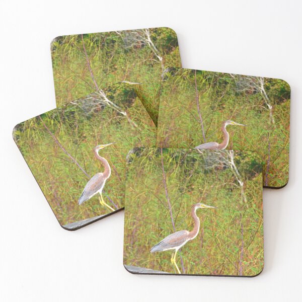 Item preview, Tricolored  Heron Vertical designed and sold by LisaWootenPhoto.