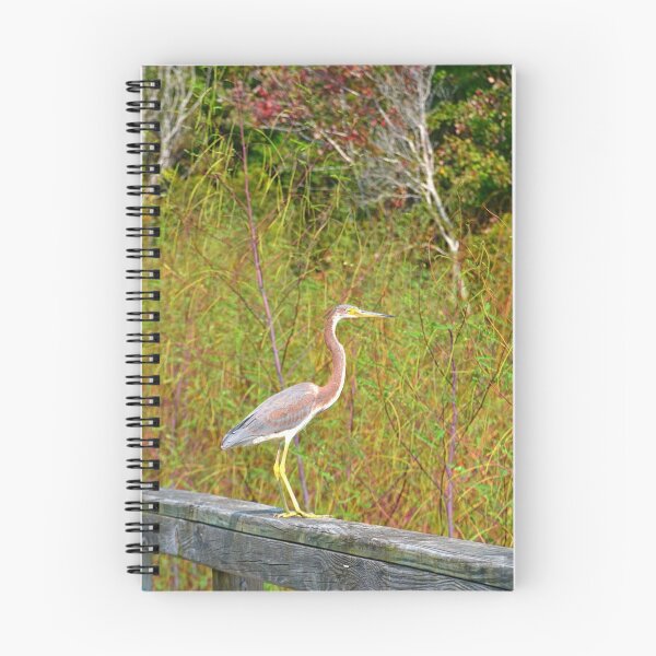 Item preview, Tricolored  Heron Vertical designed and sold by LisaWootenPhoto.