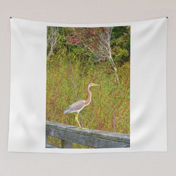 Item preview, Tricolored  Heron Vertical designed and sold by LisaWootenPhoto.
