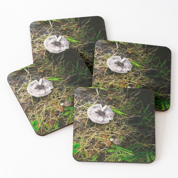 Item preview, Mushrooms in the Wild; Shrooms designed and sold by DiscGolfTees.