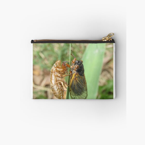 Item preview, reflecting on my former self (cicada) designed and sold by UpTowardTheSky.