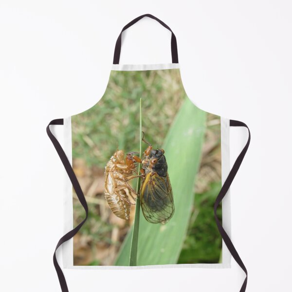 Item preview, reflecting on my former self (cicada) designed and sold by UpTowardTheSky.