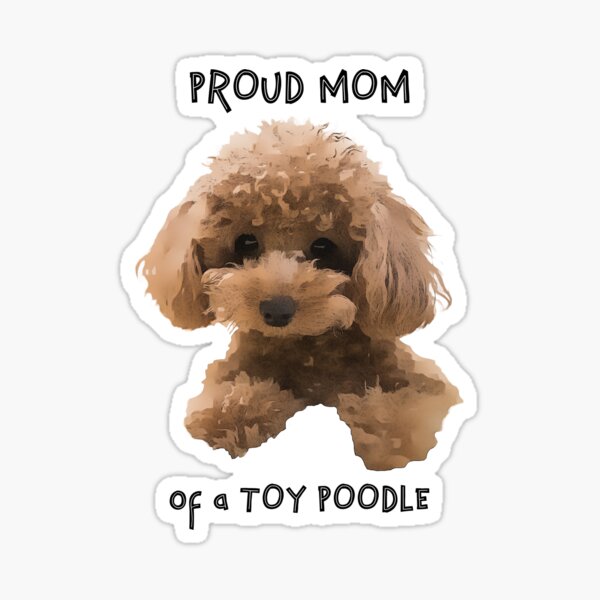 toy poodle stuff