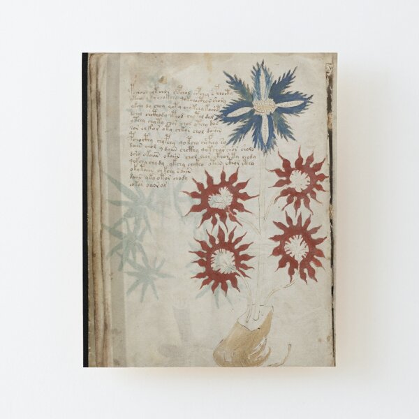 Voynich Manuscript. Illustrated codex hand-written in an unknown writing system Wood Mounted Print
