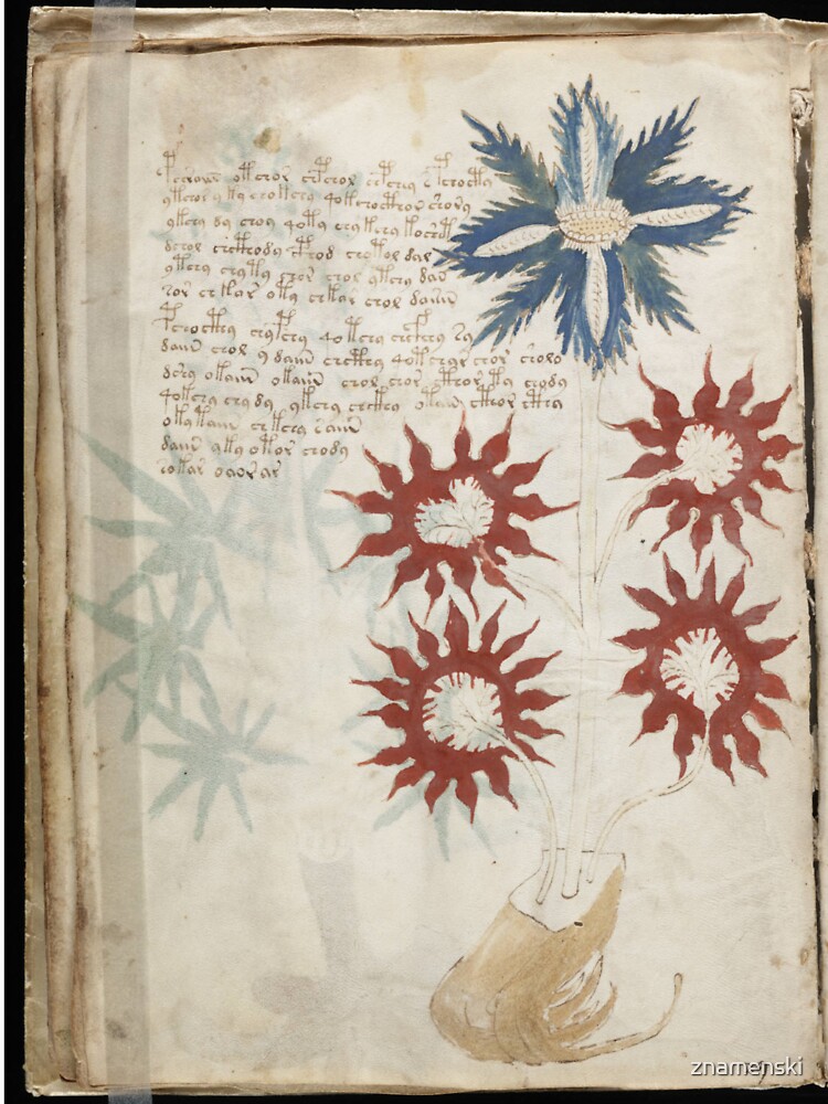 Voynich Manuscript. Illustrated codex hand-written in an unknown writing system #Voynich #Manuscript #Illustrated #codex by znamenski