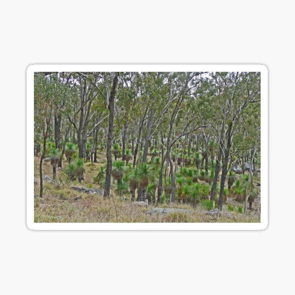 Item preview, grasstree forest designed and sold by Margaret  Hyde.