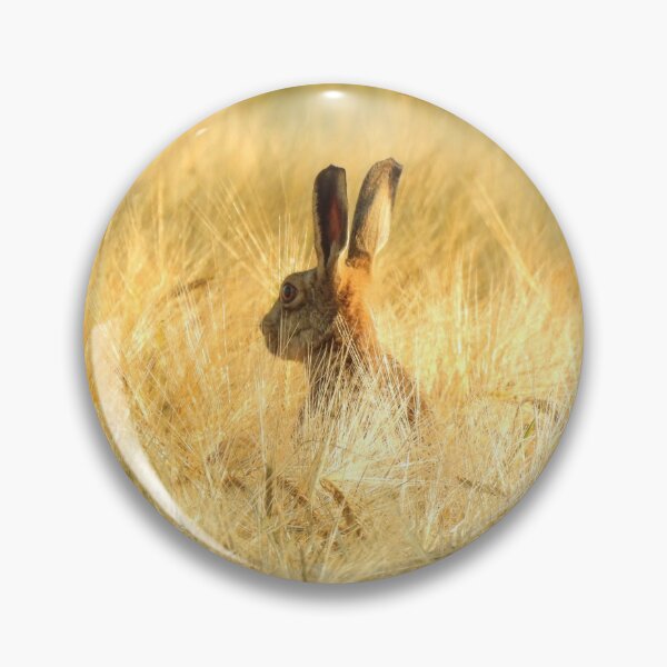 Item preview, Cumbrian Hare designed and sold by Rob Parsons (Just a Walker with a Camera).