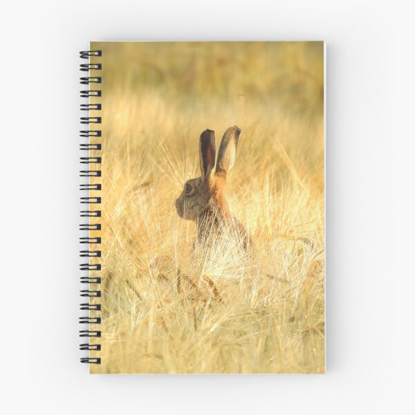 Item preview, Cumbrian Hare designed and sold by Rob Parsons (Just a Walker with a Camera).