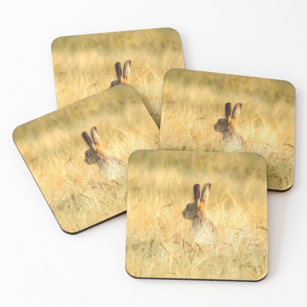 Item preview, Cumbrian Hare designed and sold by Rob Parsons (Just a Walker with a Camera).