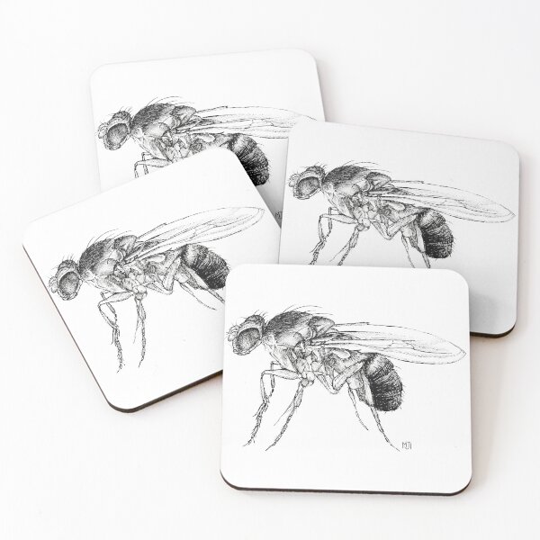 Item preview, Fruit Fly Design designed and sold by Maisy Inston.