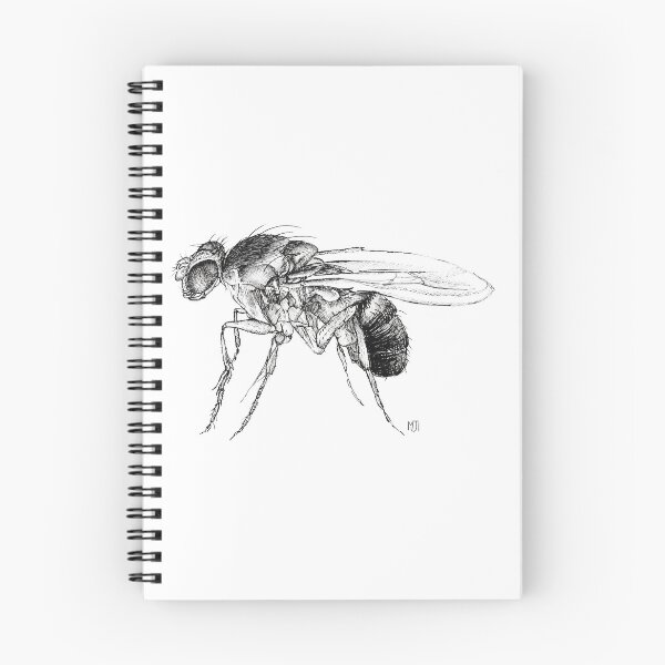 Item preview, Fruit Fly Design designed and sold by Maisy Inston.