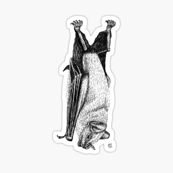 Item preview, Jamaican Fruit-eating Bat Design designed and sold by Maisy Inston.