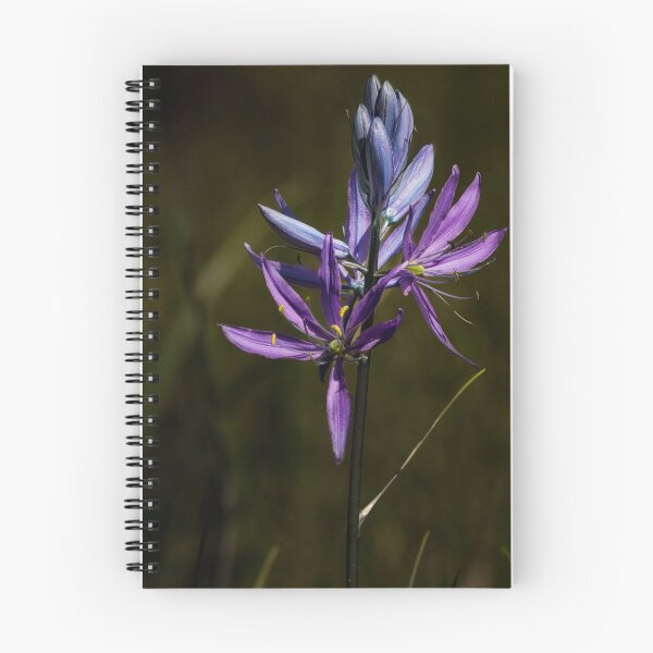 Item preview, Camas Vers 2 designed and sold by Belinda Greb Photography.