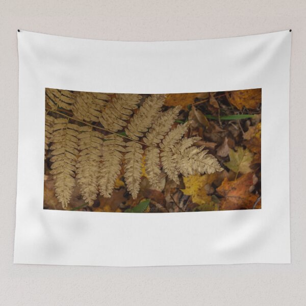 Item preview, Fern from above designed and sold by louisxviphoto.