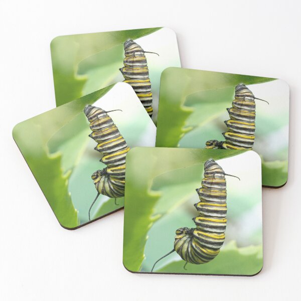 Item preview, Monarch caterpillar getting ready to transform designed and sold by louisxviphoto.