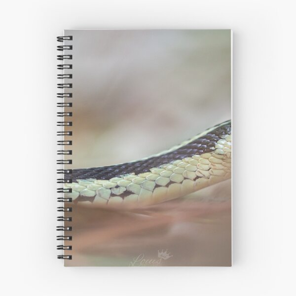 Item preview, Snake on forest floor designed and sold by louisxviphoto.