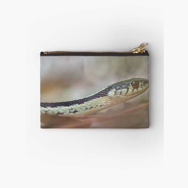 Aperçu de l'œuvre Serpent sur le sol forestier créée et vendue par louisxviphoto.