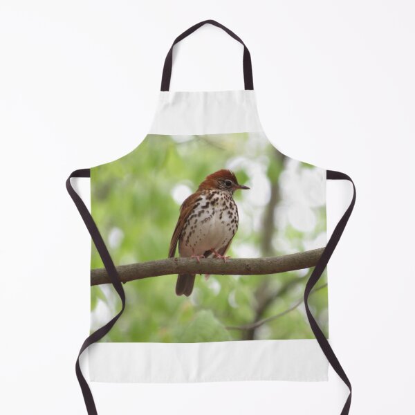 Item preview, Wood thrush bird designed and sold by UpTowardTheSky.