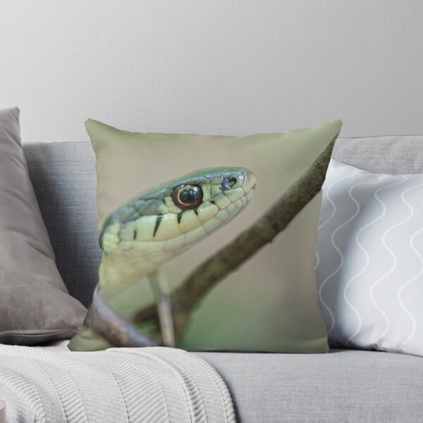 Item preview, Common Garder Snake designed and sold by louisxviphoto.