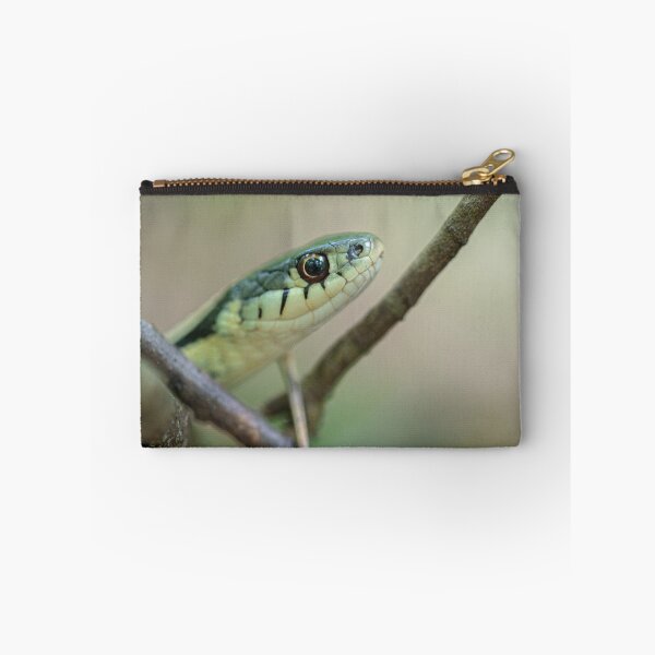 Item preview, Common Garder Snake designed and sold by louisxviphoto.