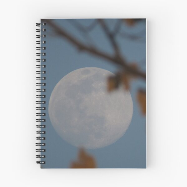 Item preview, full moon rising through trees designed and sold by UpTowardTheSky.